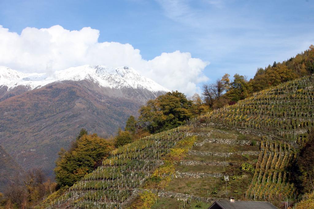 La Madonnina Apartment Villa di Tirano Phòng bức ảnh